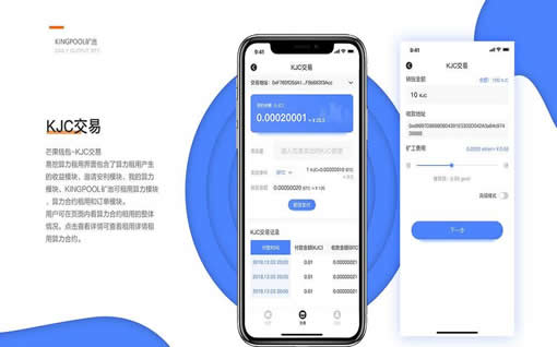 TP 钱包币种选择与囤币策略tp钱包里的币会涨或会跌吗?，TP 钱包币种选择及囤币策略探讨